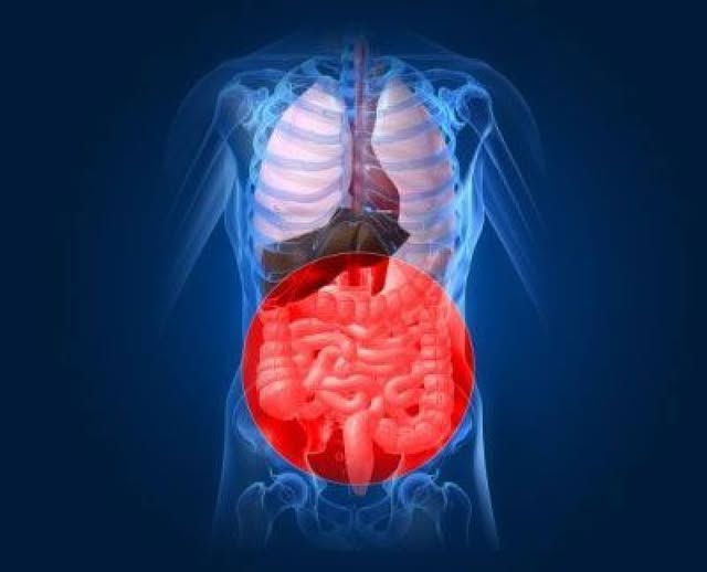 Hidrocolonoterapia – pentru o viață mai sănătoasă !