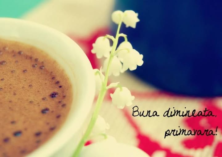 www.sancos.md