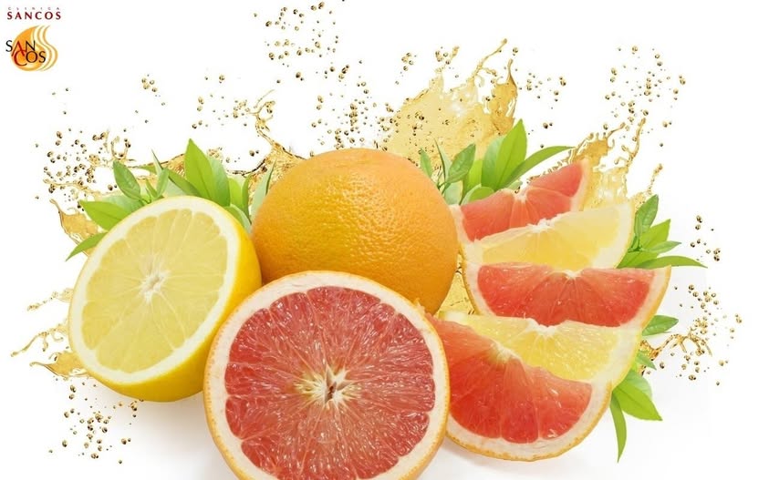 Citricle sunt delicioase, revigorante şi bogate în compuşi numiţi flavonoizi, cu proprietăţi…