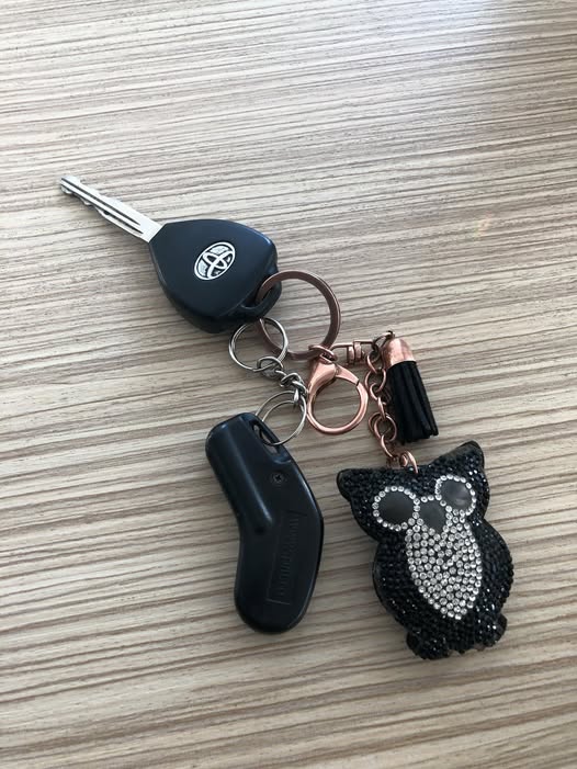 Update: merci mult tuturor, proprietarul s-a gasit!