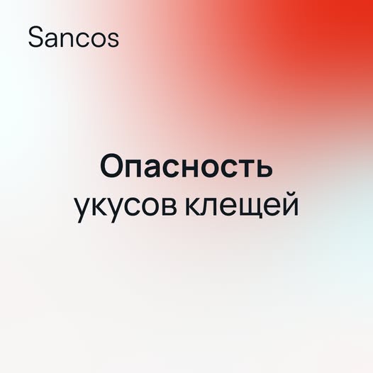 Какую опасность представляют клещи?