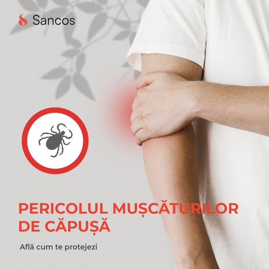 👉Căpușele sunt foarte active în perioada aprilie-noiembrie, iar mușcăturile lor reprezintă un…
