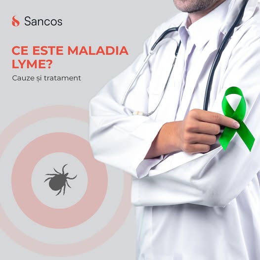 🧑‍⚕️Boala Lyme este o infecție bacteriană transmisă prin mușcătura unei căpușe infectate cu…