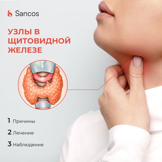 🧏‍♀️Чаще всего к эндокринологам обращаются по поводу узлов в щитовидной железе. Такая патология…