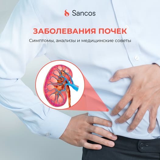 🧏‍♀️От работы почек зависит состояние вашего здоровья.