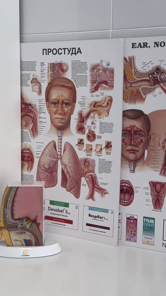 O vizită la ORL nu trebuie să fie o experiență stresantă pentru copil. 🧸